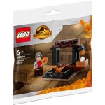 LEGO 30390 Jurassic World Dino markt 