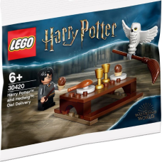LEGO 30420 Harry Potter en Hedwig (polybag)