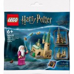 LEGO 30435 Harry Potter Bouw Je Eigen Zweinstein Kasteel