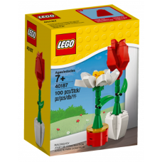 LEGO 40187 Flower Display / Bloemenpracht