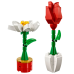 LEGO 40187 Flower Display / Bloemenpracht