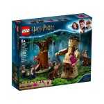 LEGO 75967 Harry Potter Het Verboden Bos: Omber`s ontmoeting met Groemp