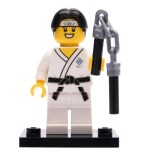 LEGO 71027 Col20-10 Martial Arts Boy, Series 20 (Complete Set with Stand and Accessories)(bak plank)