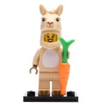 LEGO 71027 Col20-7 Lama Costume Girl, Series 20 (Complete Set with Stand and Accessories)